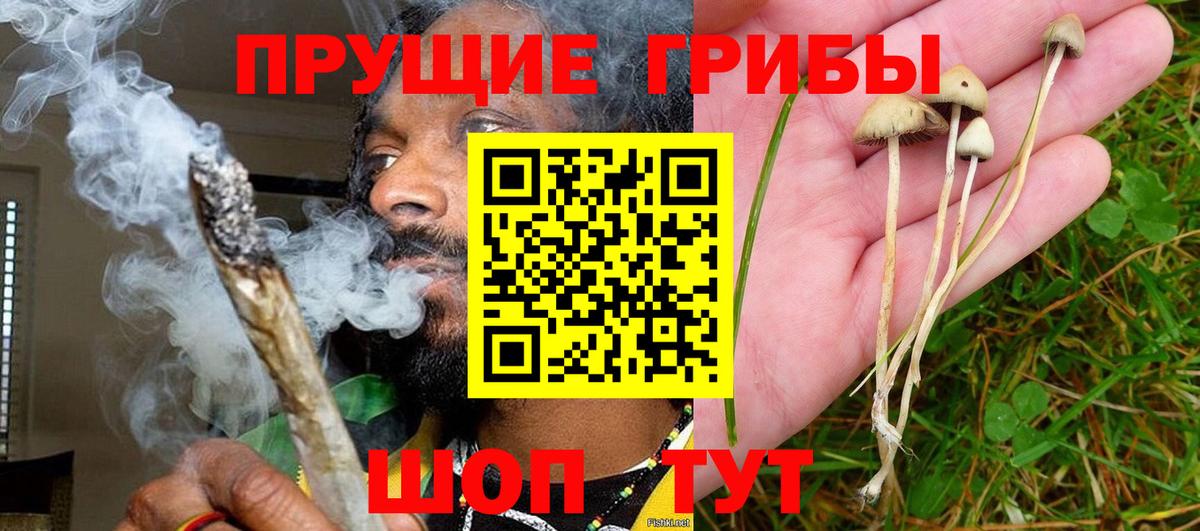 Псилоцибиновые грибы Cubensis  Вход с VPN  Альметьевск 